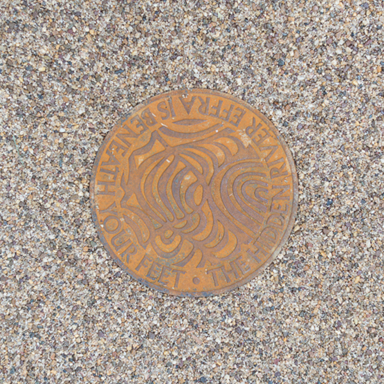 DSC_4274.jpg