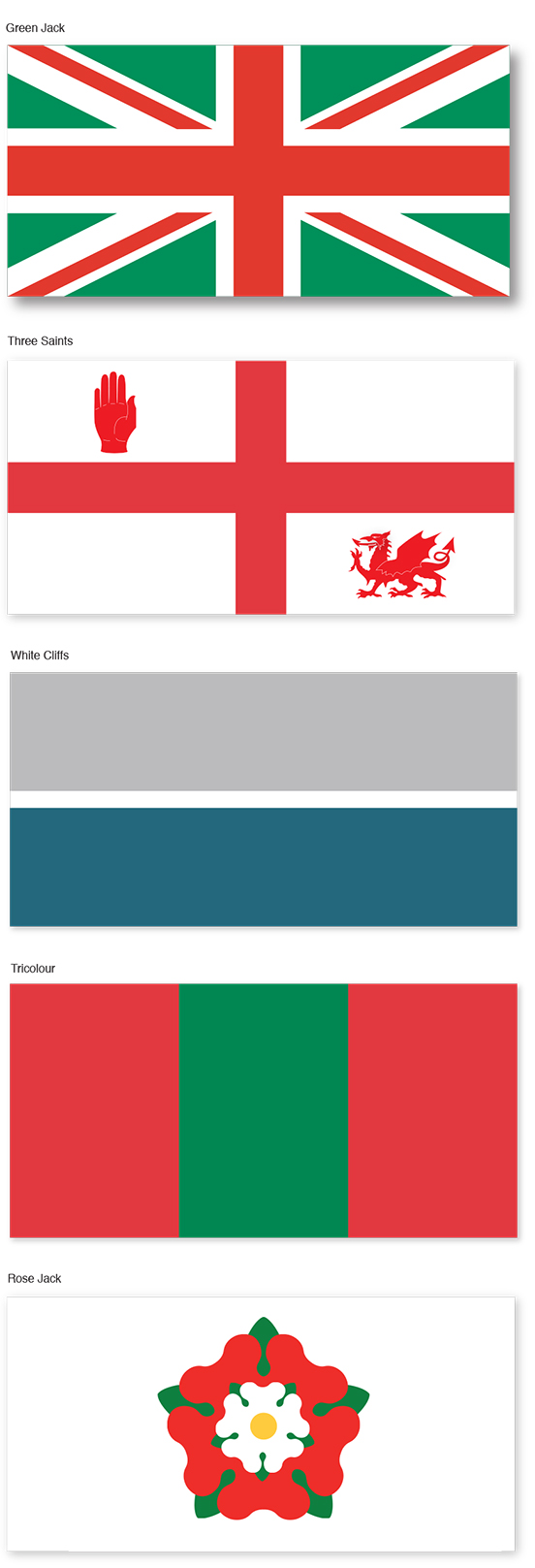 5 Flag options.jpg