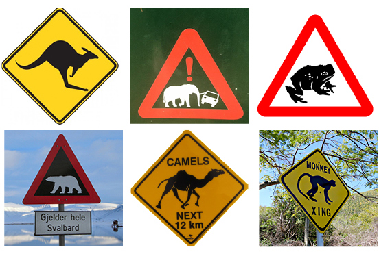 Existing animal signs.jpg