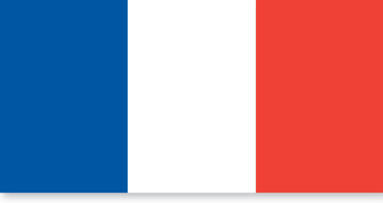 French-flag.jpg
