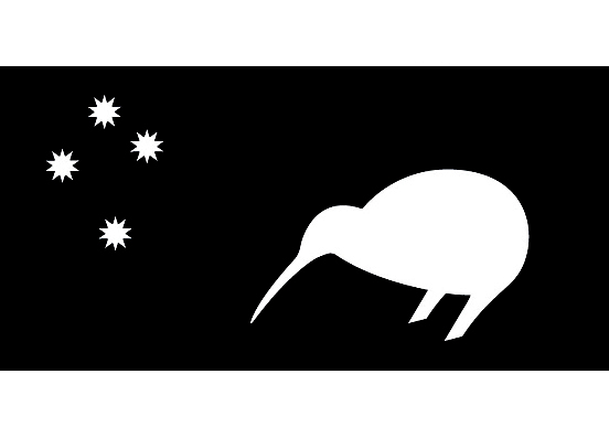 Kiwi bird.jpg