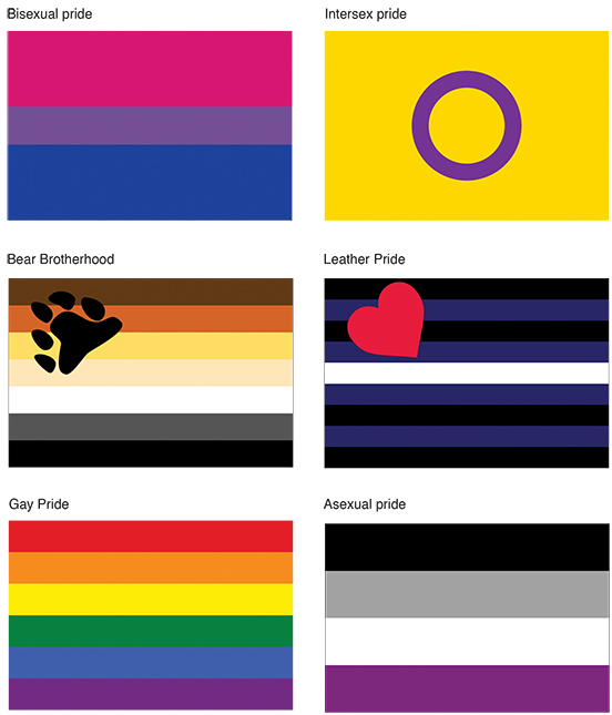 Sex flags.jpg