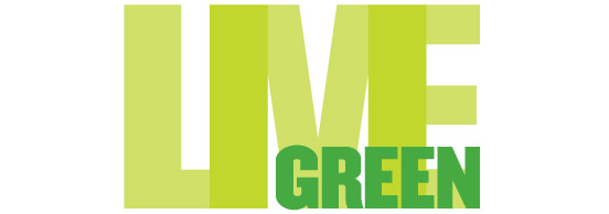 lime logo.jpg